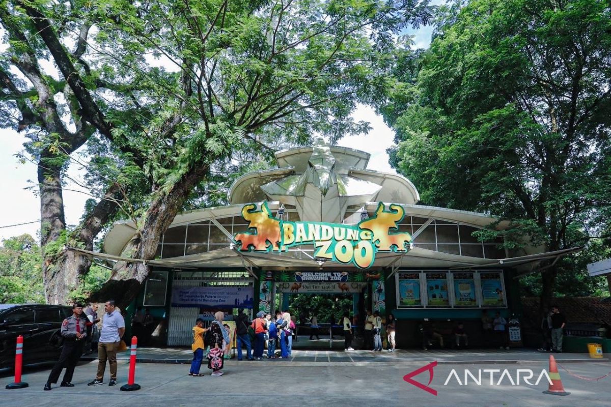 New Bandung Zoo Operator Obliged to Pay Rp4.3 Billion Annually