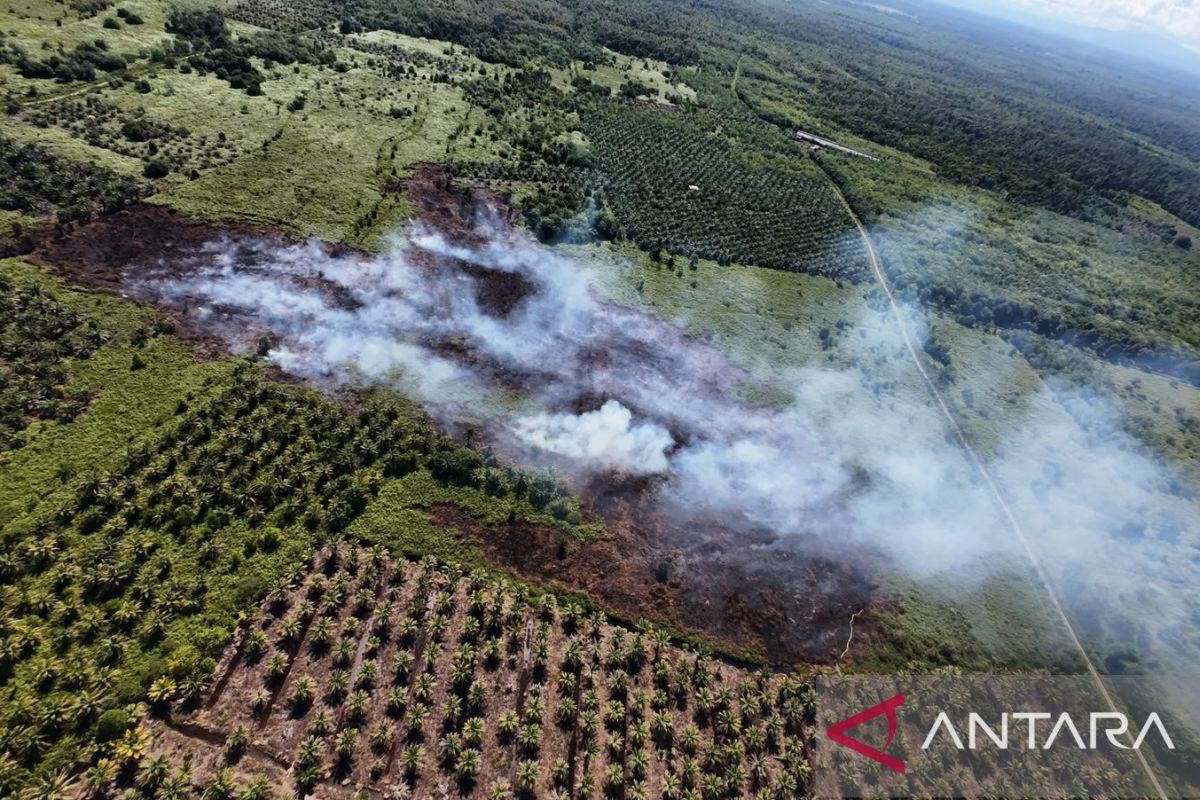 Forest and Land Fires in West Aceh Expand to 34.1 Hectares