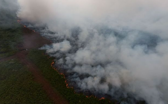 Forest and Land Fires in West Aceh Expand to 34.1 Hectares, Bubon District Worst Hit