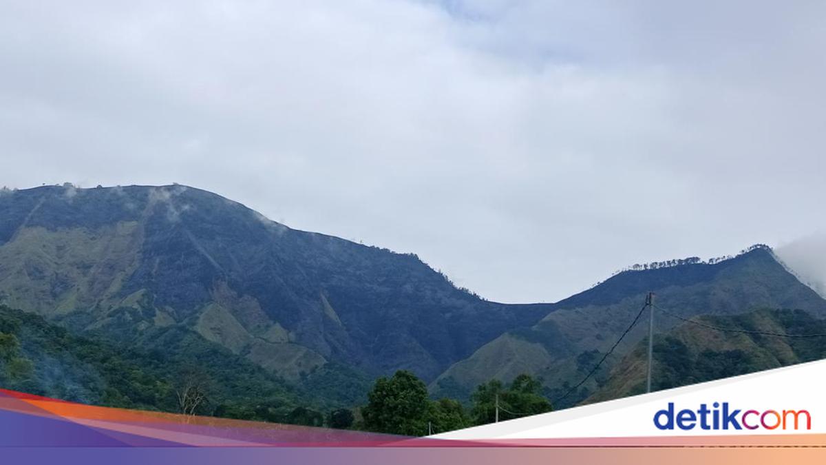 Fire on Mount Sempana Extinguished, Trail Reopens in a Fortnight