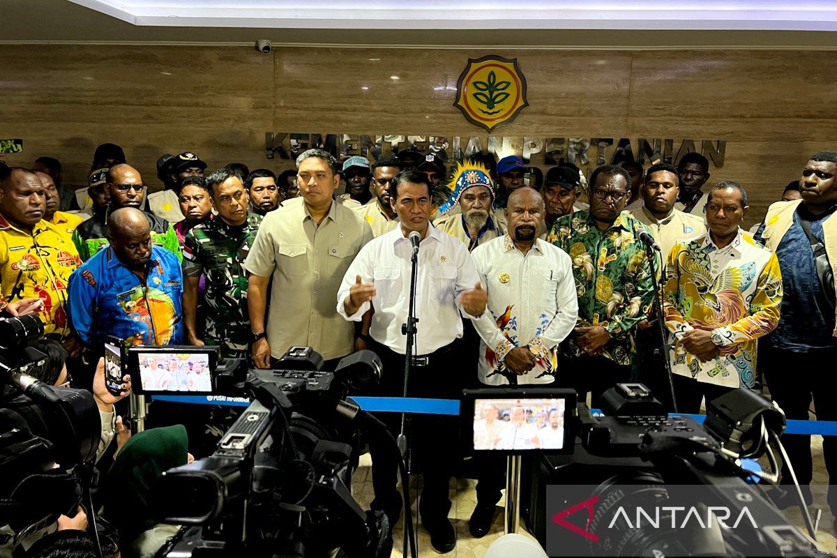 Govt allocates US$294.1 million to develop modern agriculture in Papua