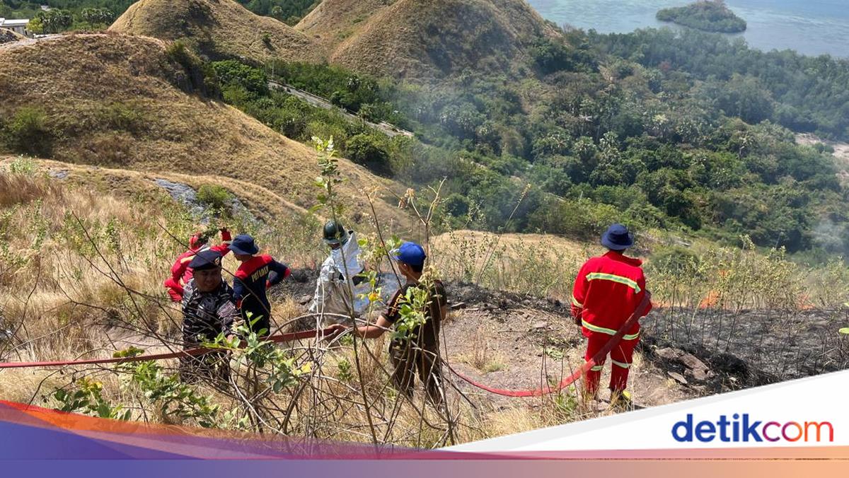 Bukit Silvia Tourist Area in Labuan Bajo Gutted by Fire, Triggered by Cigarette Butt