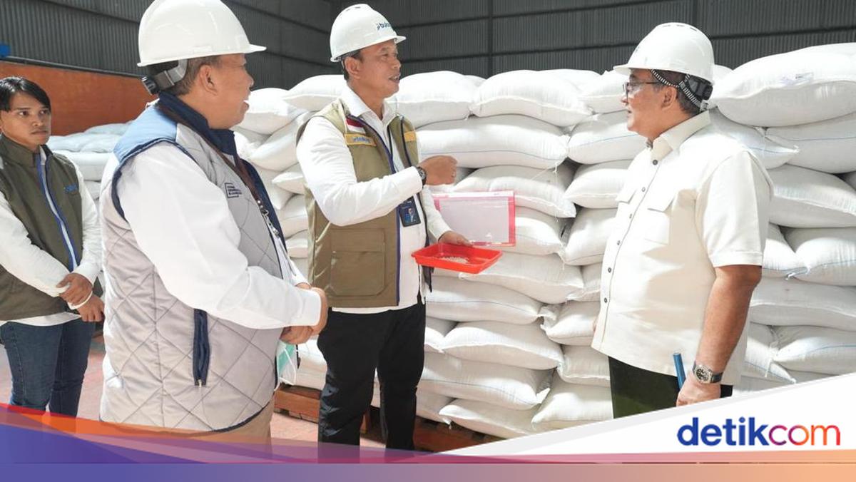 BPK Appreciates BULOG's Performance, Grain and Rice Procurement Reaches 77%