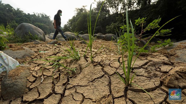 BMKG Warns of Impending Disaster as Peak Dry Season Approaches in 2026