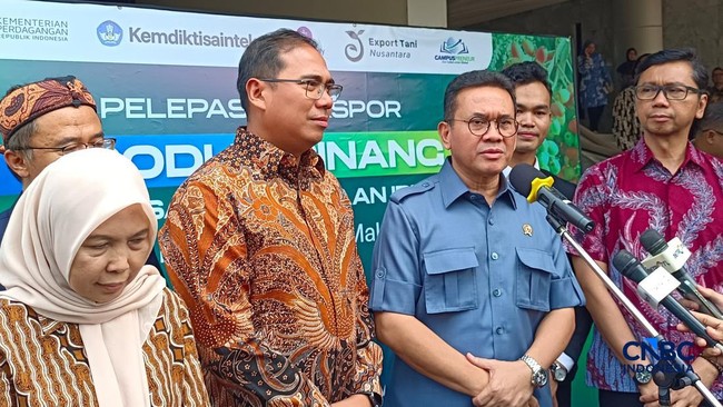 No Increase Yet: Minyakita's HET Remains at Rp15,700, Trade Minister Explains
