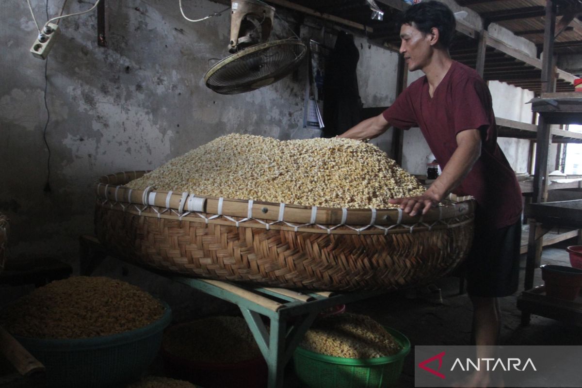 Celios: Strengthening soybean reserves key to reducing import dependency