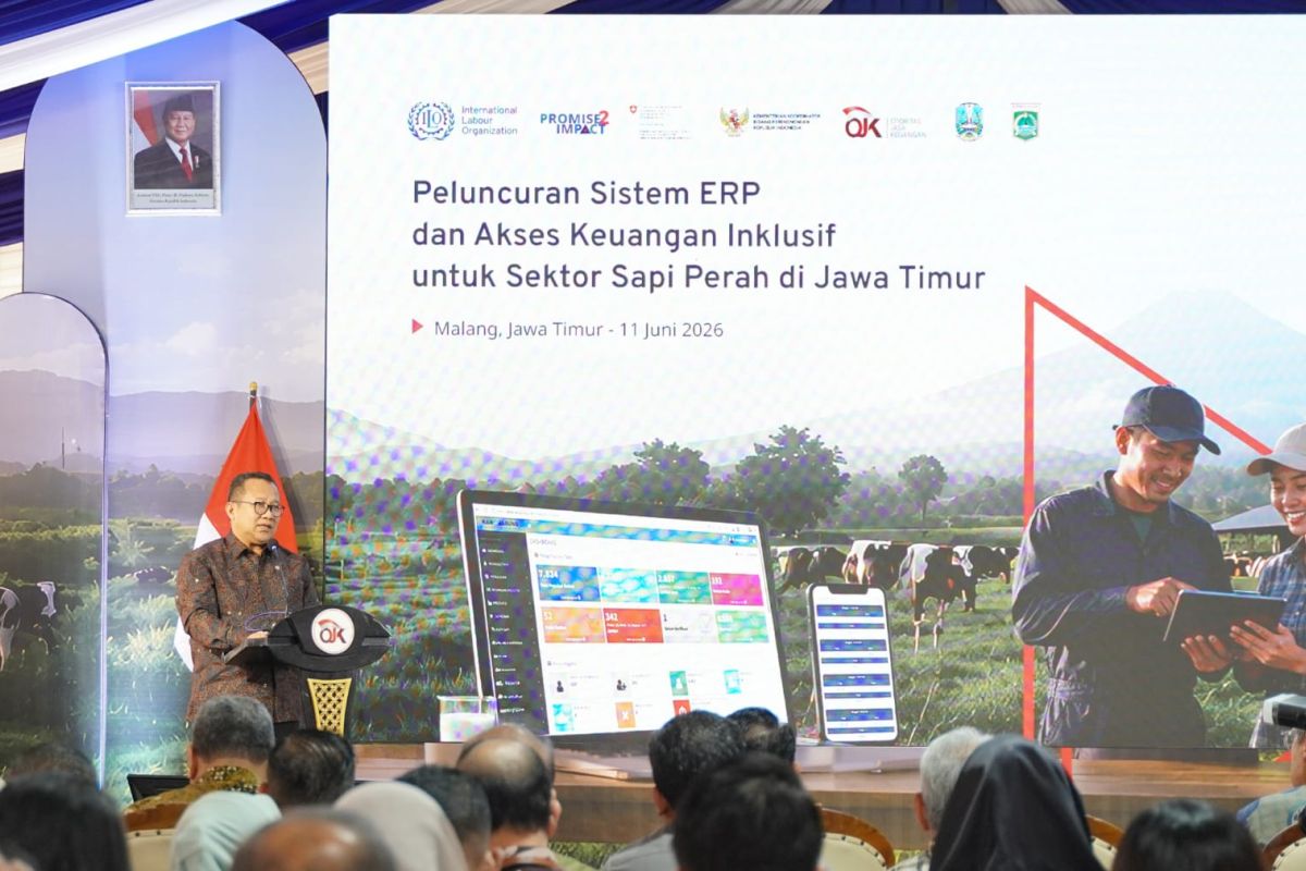 OJK and ILO Launch ERP System to Boost Credit Access for Dairy Farmers