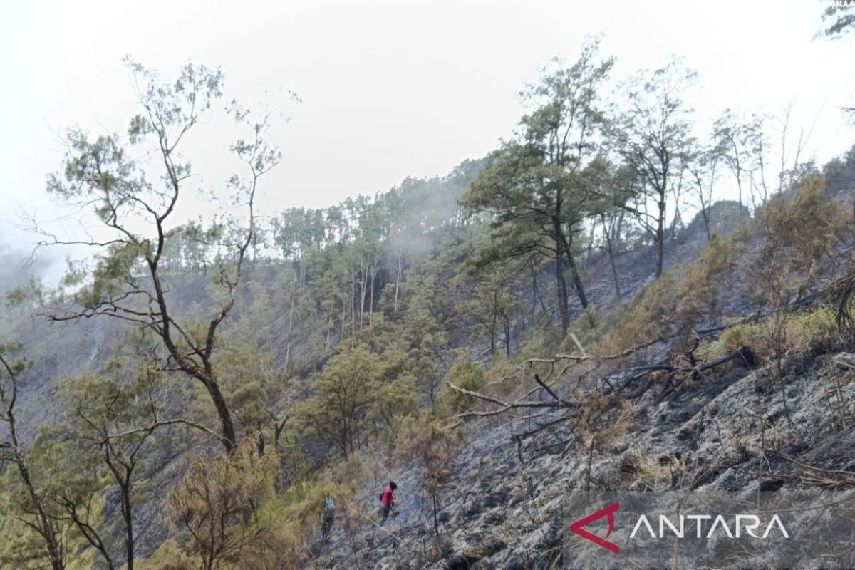 Ministry of Forestry extinguishes savanna fire on Bukit Sempana, East Lombok