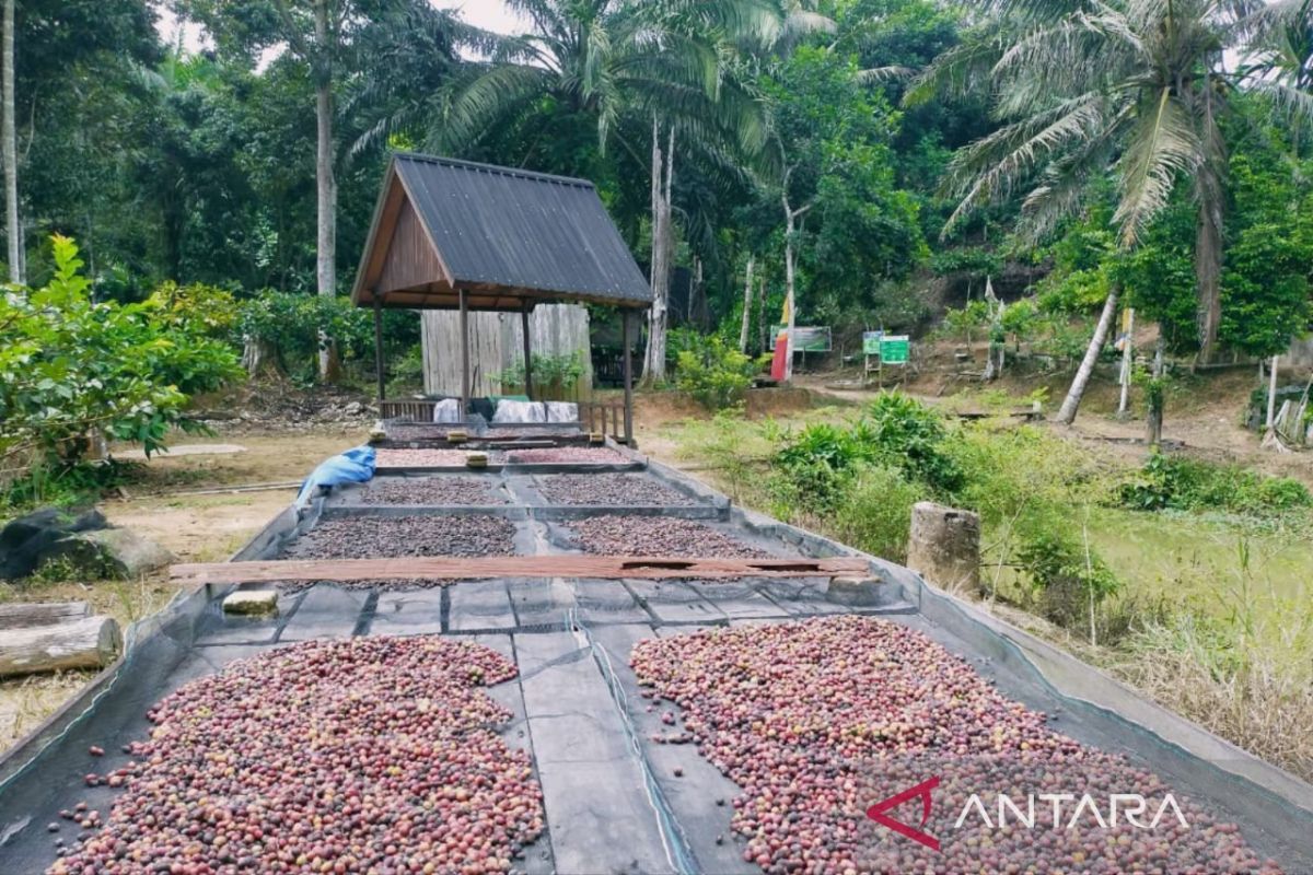 Ministry of Forestry: Social Forestry a Strategic Pillar for Economic Justice