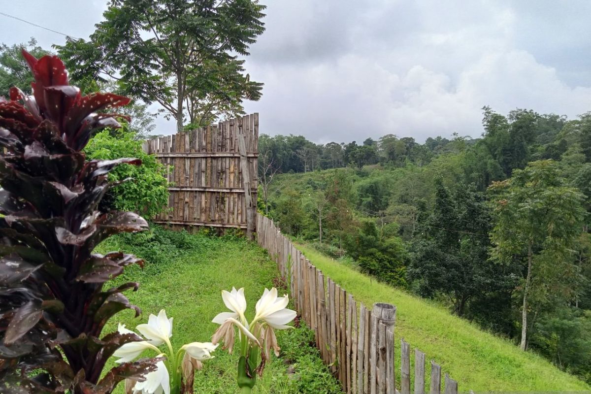 Ministry of Forestry: Social forestry prioritises conservation and welfare