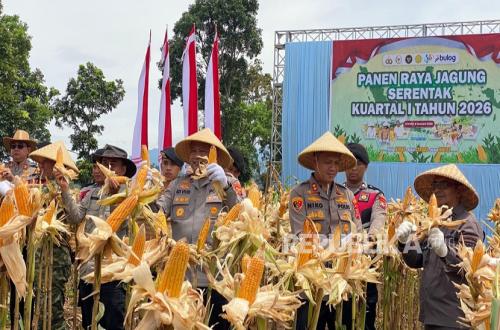Hybrid Maize Brings Prosperity to Farmers in West Bandung