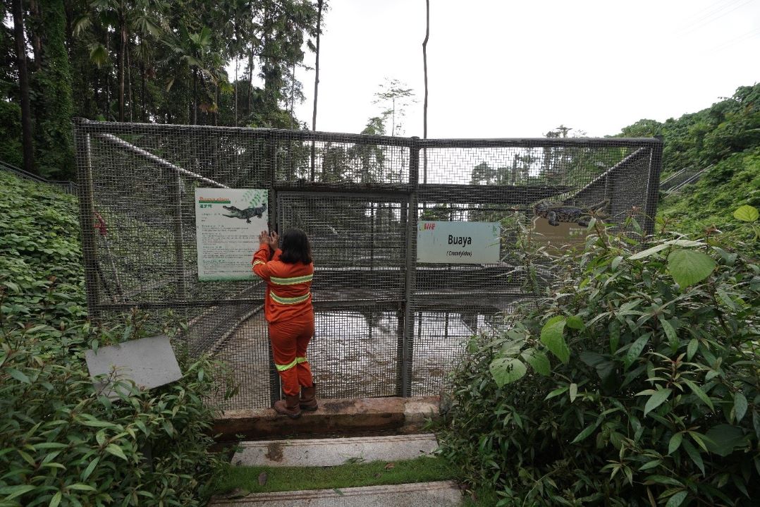 Protecting Halmahera's Endemic Flora and Fauna, This Industrial Estate Builds a Sanctuary