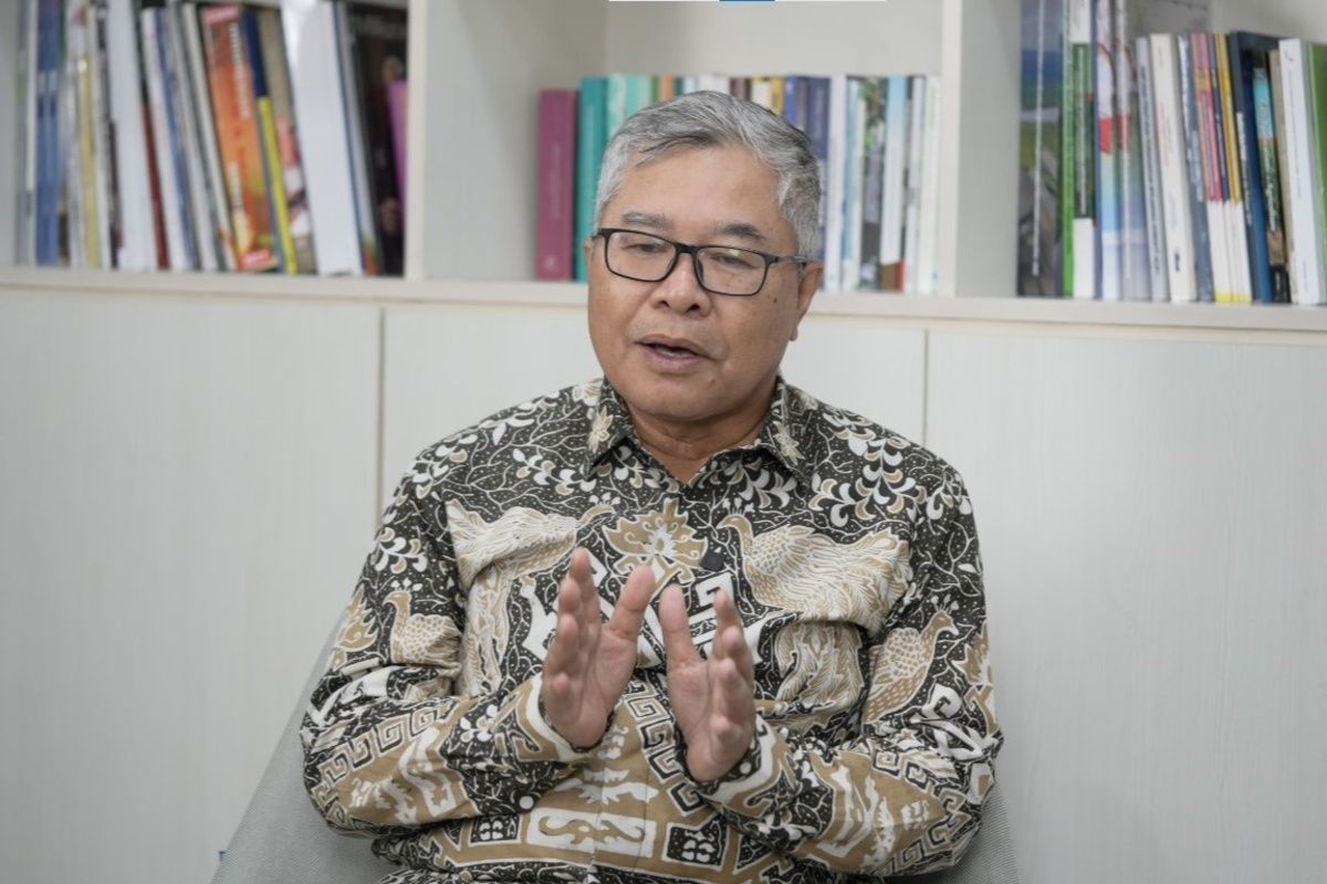 Expert: Public transport development boosts regional economy