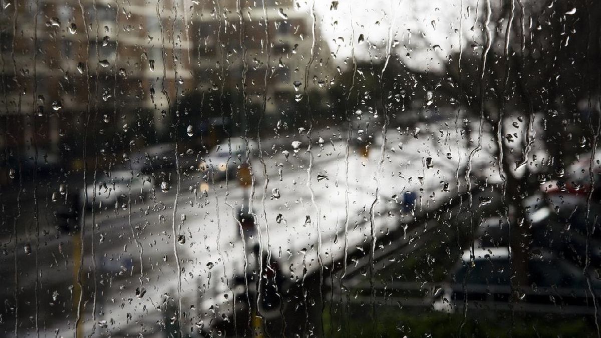 Heavy Rain in Denpasar, Bali Causes Fallen Trees and Building Damage