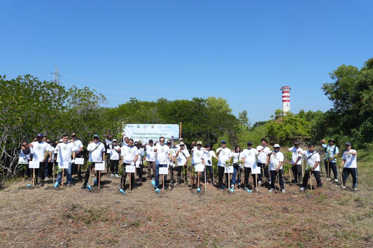 PLN Indonesia Power Plants 3,281 Trees to Mark World Environment Day