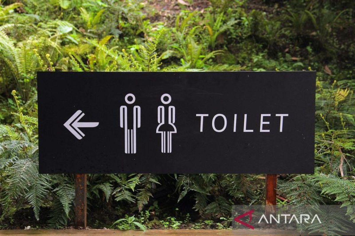 Holding in urine poses health risks to the bladder