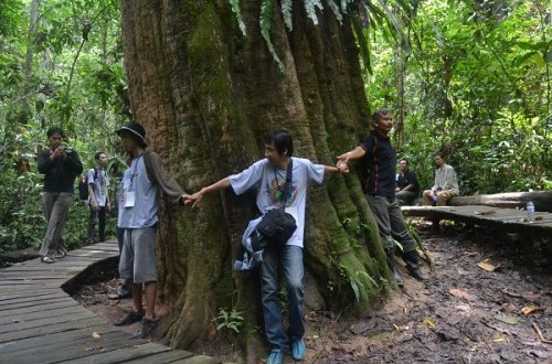 Kutai National Park Becomes a Bastion for Tropical Rainforest Flora Preservation