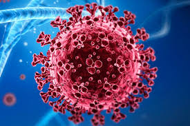 Epidemiologist Says Hantavirus Does Not Spread Easily Between Humans