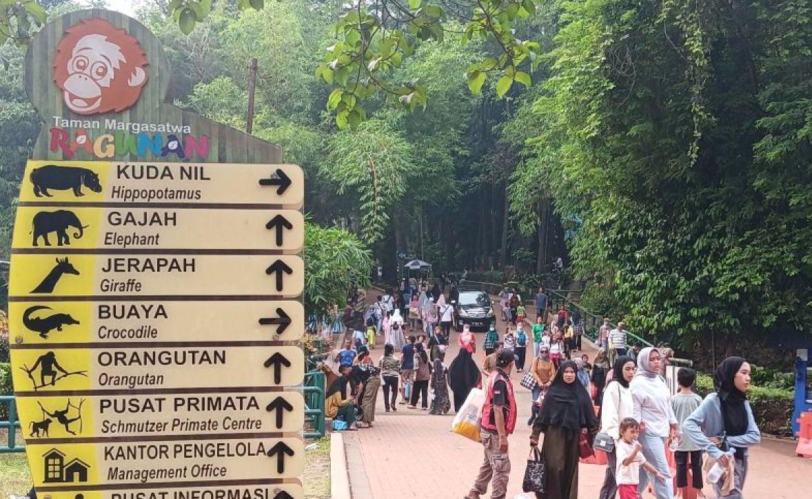 Ragunan Offers Free Entry for Jakarta Anniversary, Prepares Prize Quizzes for Visitors