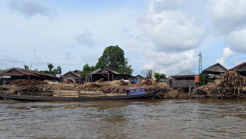 2,200 Hectares of Forest Lost to Deforestation in South Kalimantan