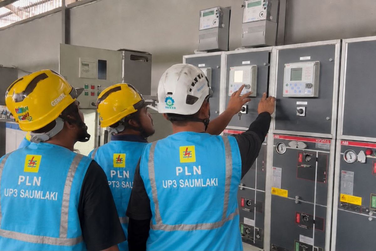 National Energy Council Ensures Power Supply During Cirebon Coal Plant Inspection