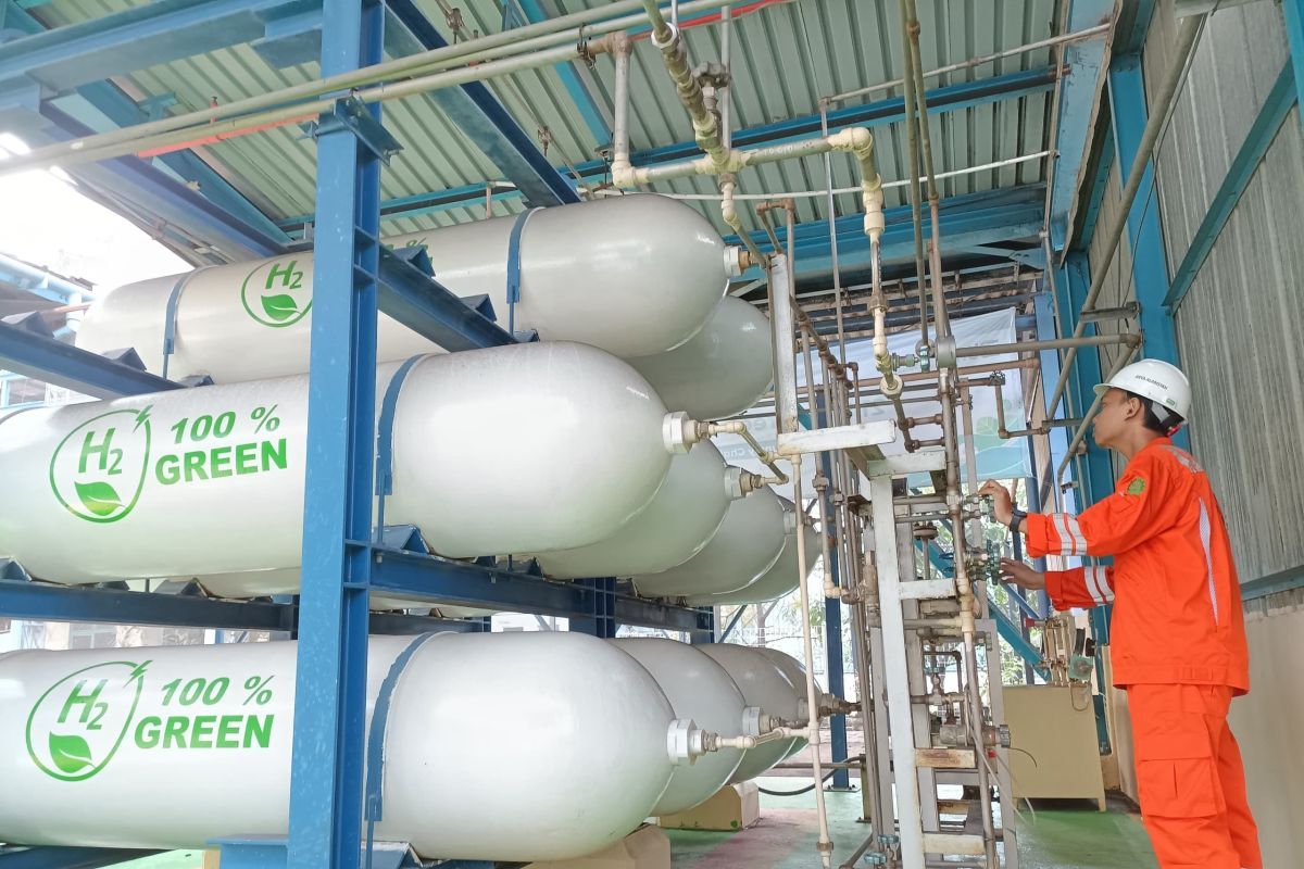 BRIN Develops Innovative Material for Clean Hydrogen Production