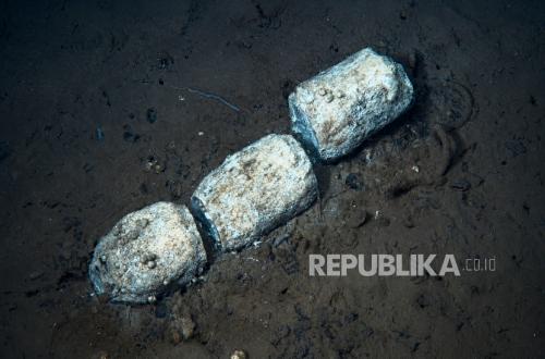 World's Largest and Deepest Whale Graveyard Revealed, More Mysterious Than Outer Space?