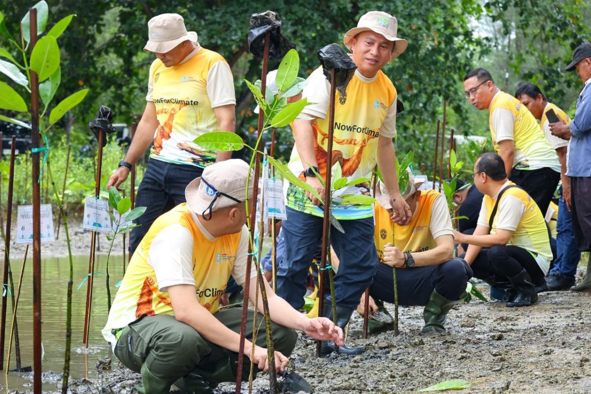 Weaving Nature, Realising IKN as a World Forest City