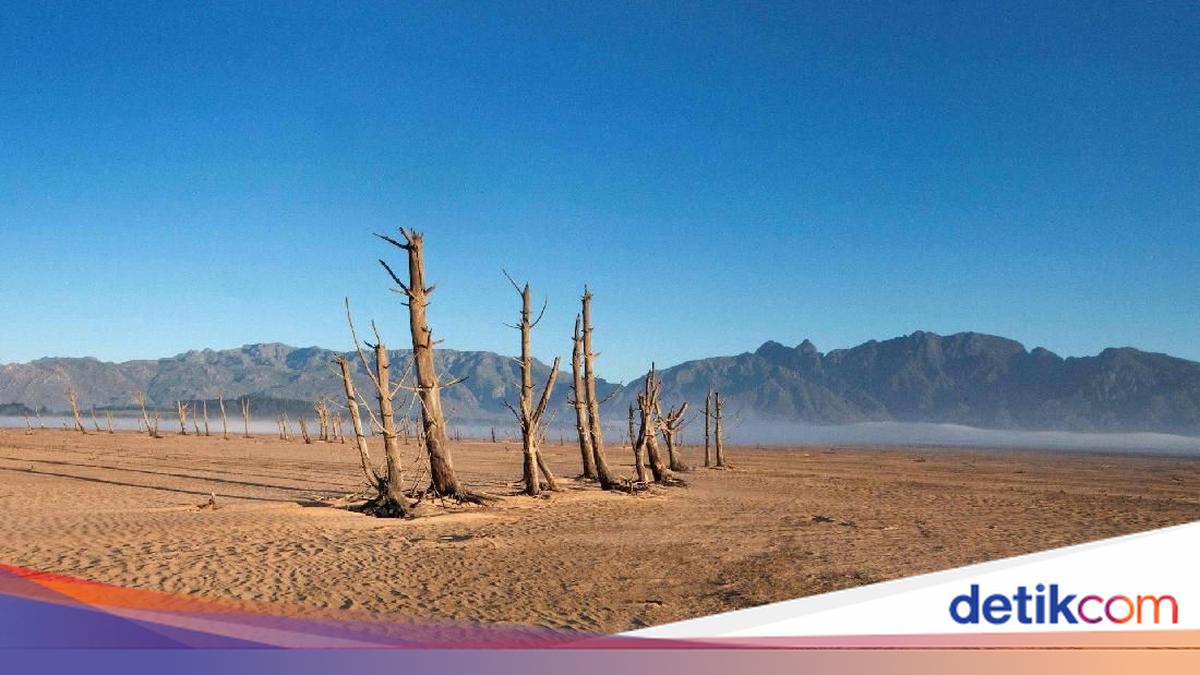 All About World Day to Combat Desertification and Drought 2026