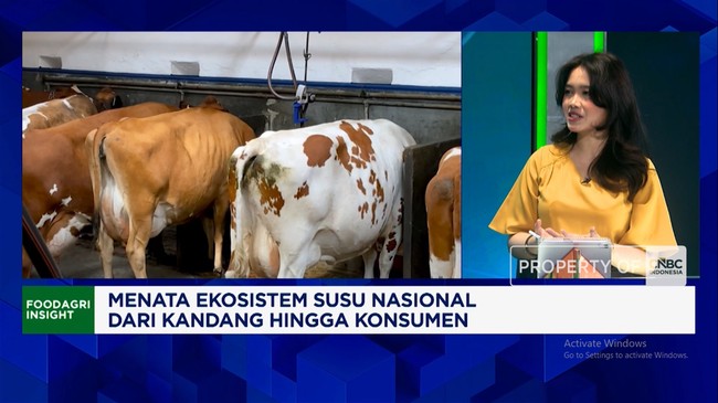 Why Indonesia Still Depends on Imported Milk and Local Production Remains Low