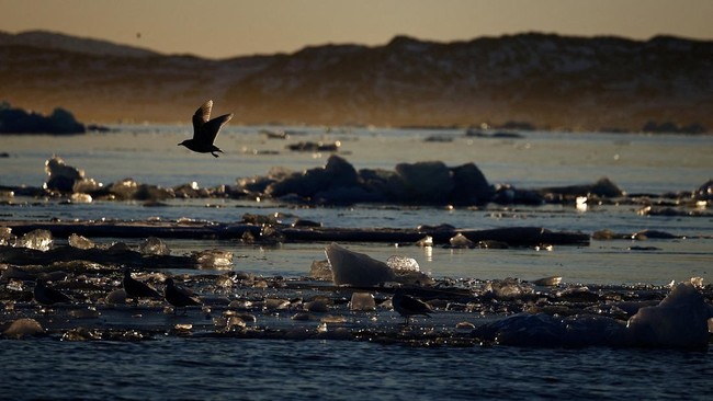 Climate 'Doomsday' Signs Become Clearer as Scientists Reveal Indicators in the North Atlantic