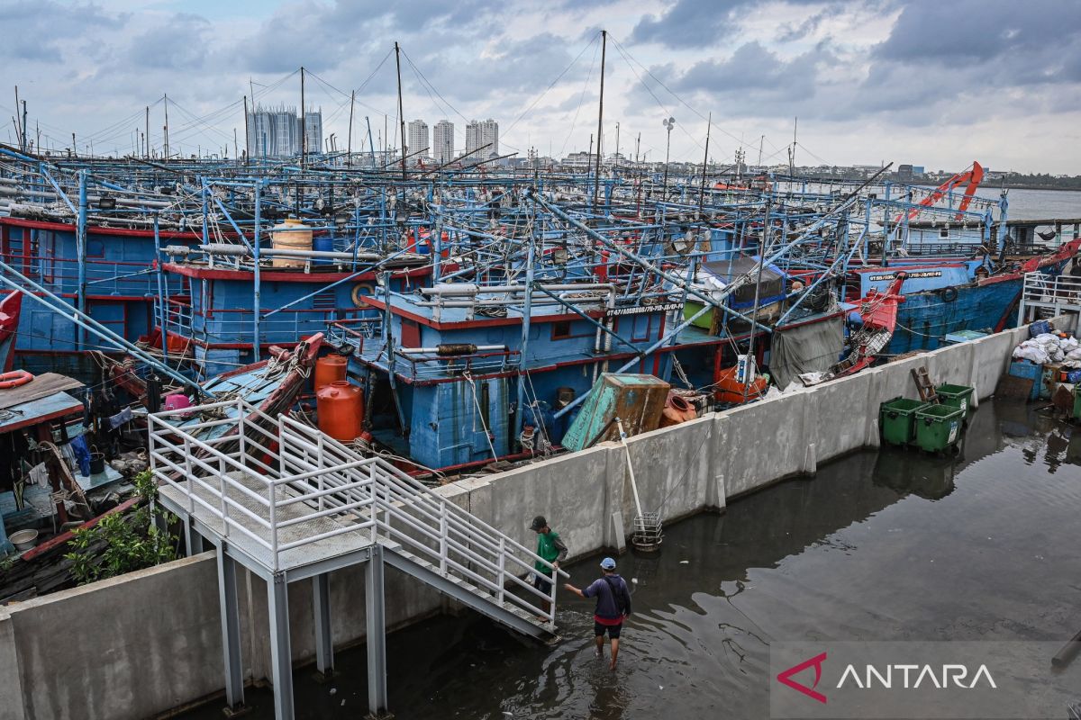Garut Youth Falls Victim to Job Scam for Squid Boat Crew in Muara Angke