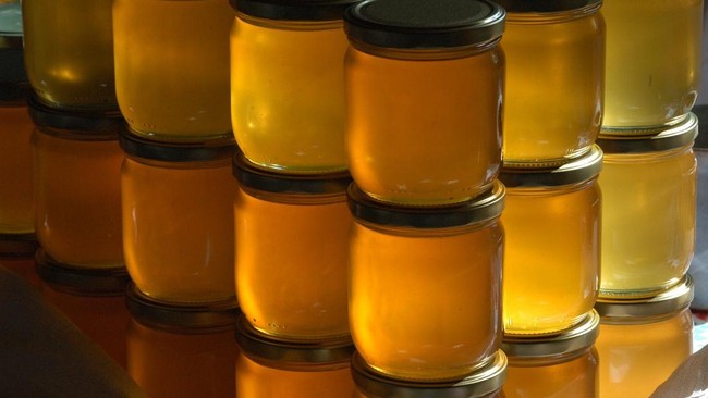 Indonesian Researchers Discover Anti-Cancer Properties in Stingless Bee Honey