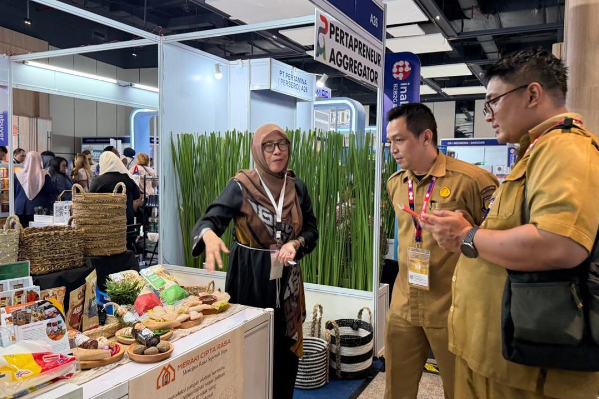 Business Acceleration Programme Produces 10 Globally Competitive MSMEs