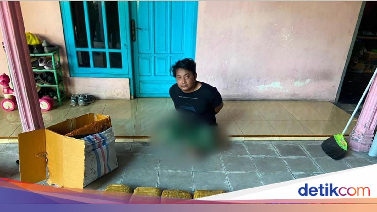 Bareskrim Foils Shipment of 10 Packages of Marijuana from Padang to Sidoarjo