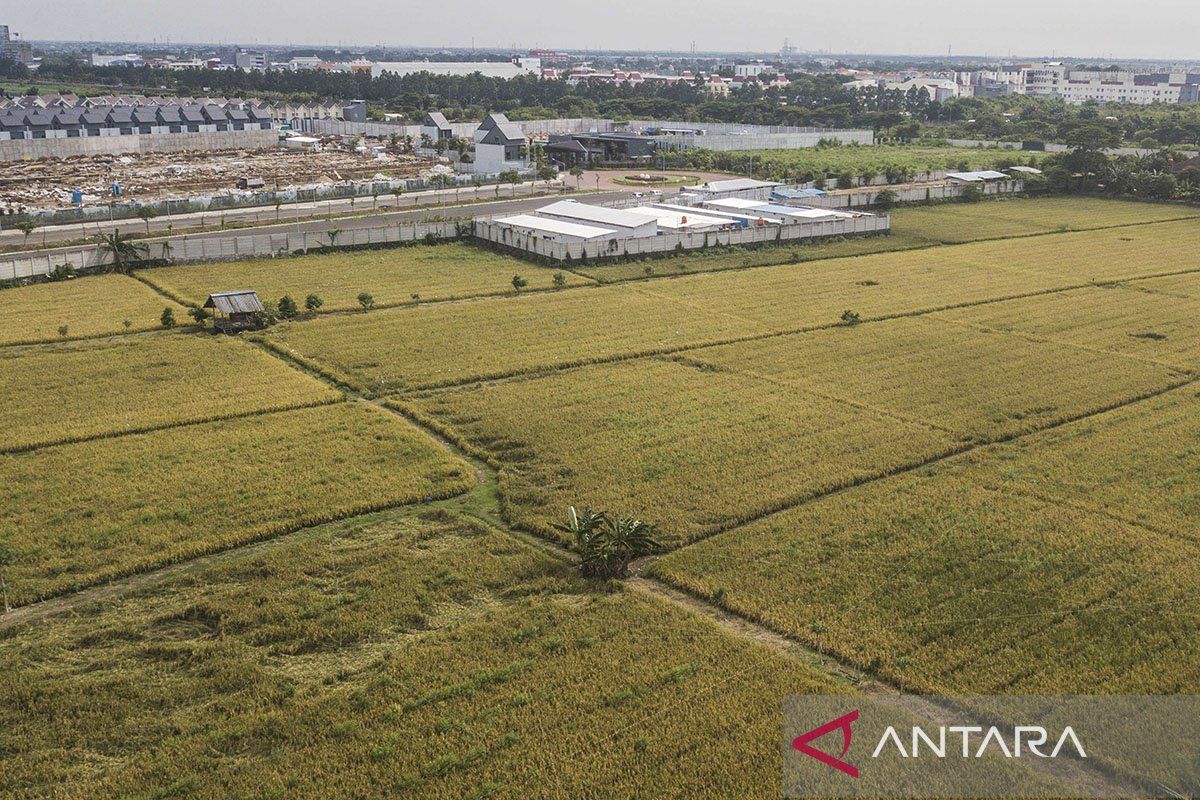 Eternal Rice Fields for the Nation's Future