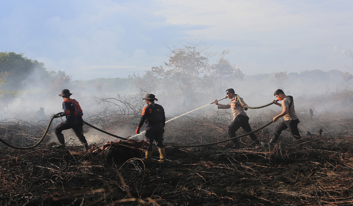 Forest and Land Fires in West Aceh Spread to 34.1 Hectares, Partially Extinguished
