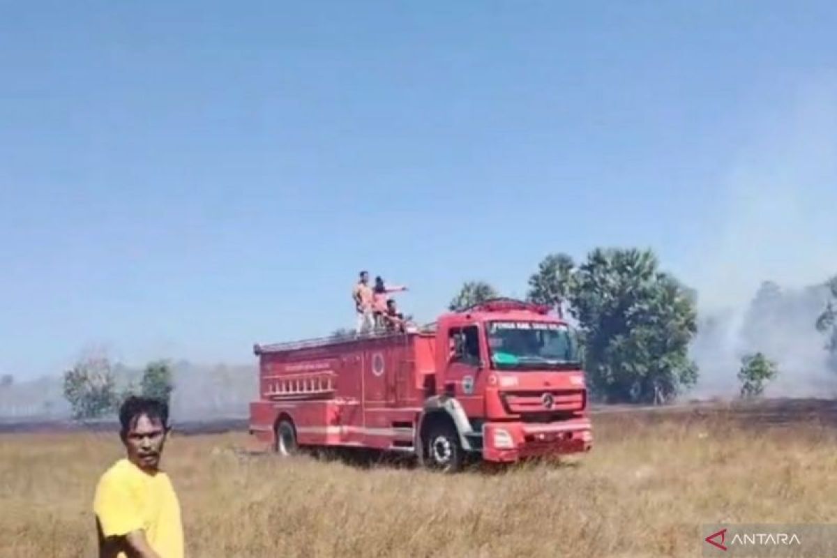 BNPB: Waste burning remnants trigger 20-hectare land fire in Sabu Raijua