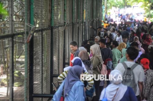 Jakarta Anniversary: Ragunan Zoo Offers Free Entry