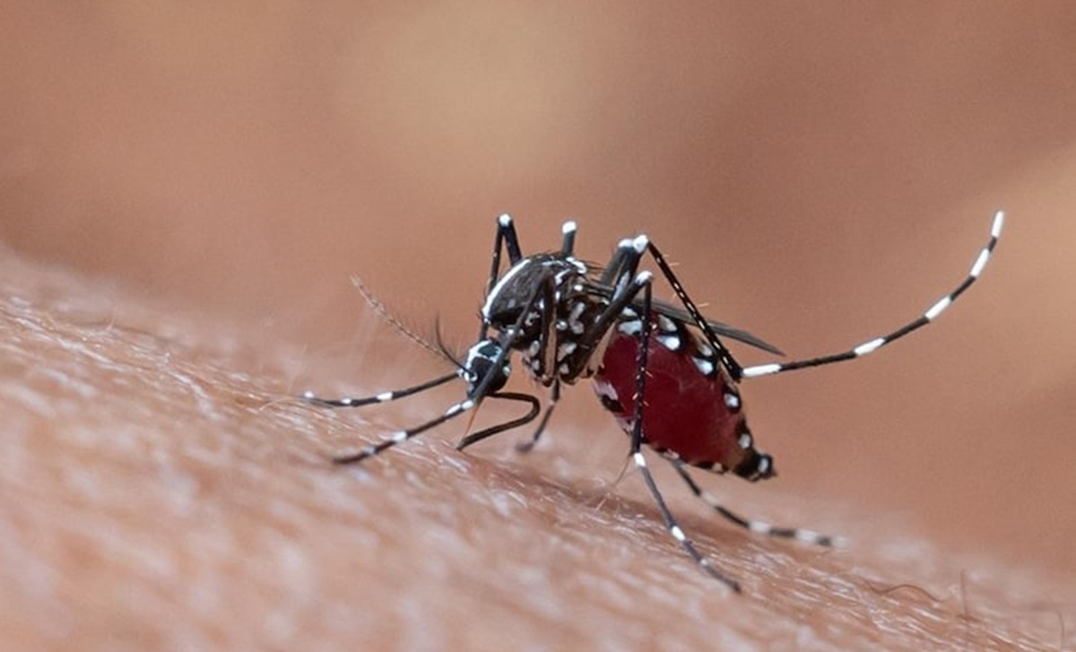 Dengue Fever Remains a Threat in Indonesia, UMY Expert Proposes Spatial Analysis Solution