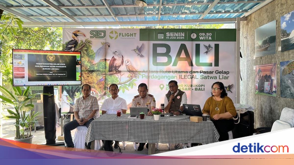 Bali Identified as Primary Route for Illegal Wildlife Trade