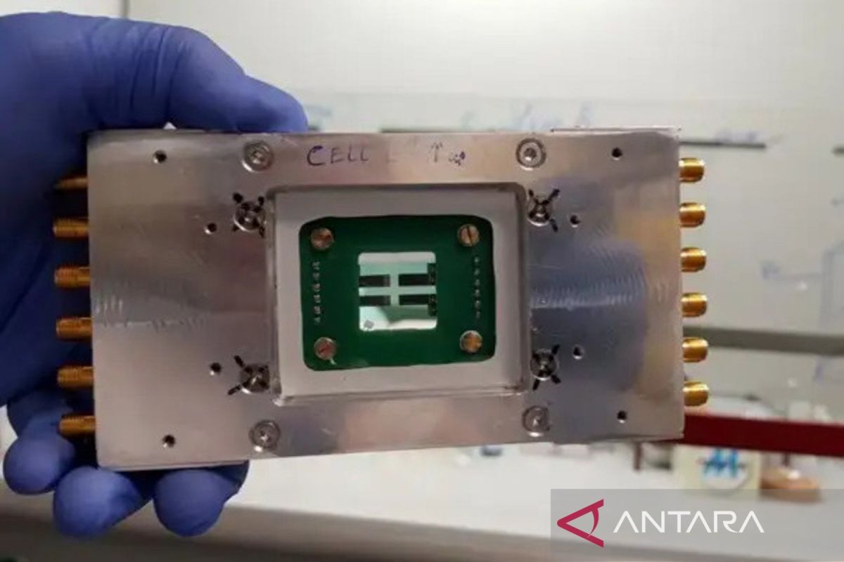 BRIN develops bio-photovoltaic solar cell technology