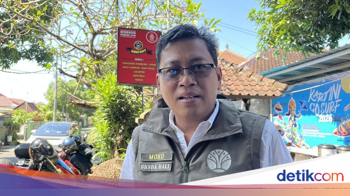 Bali Conservation Agency Receives 16 Long-Tailed Monkeys from Public