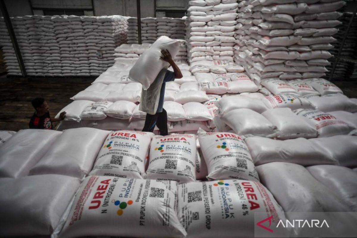 From food buffer to new industrial power