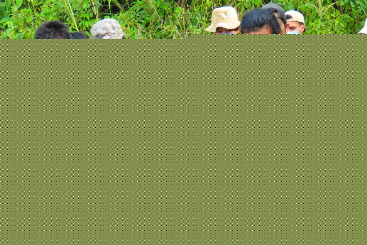A New Chapter for Orangutan Conservation in East Kalimantan's Keraitan Landscape
