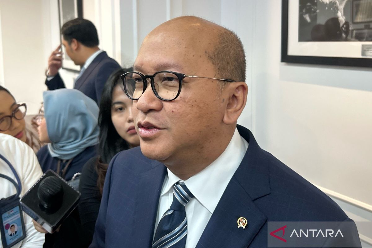 Rosan Says Danantara Still Finalising Financial Report