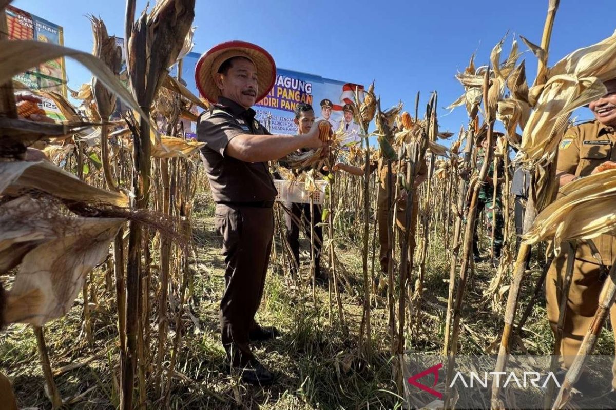 Central Sulawesi High Prosecutor: Adhyaksa Involved in Achieving Food Self-Sufficiency