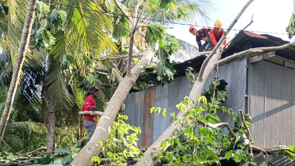 Strong Winds Hit Six Villages in Sidrap, Seven Homes Damaged and 29 People Affected