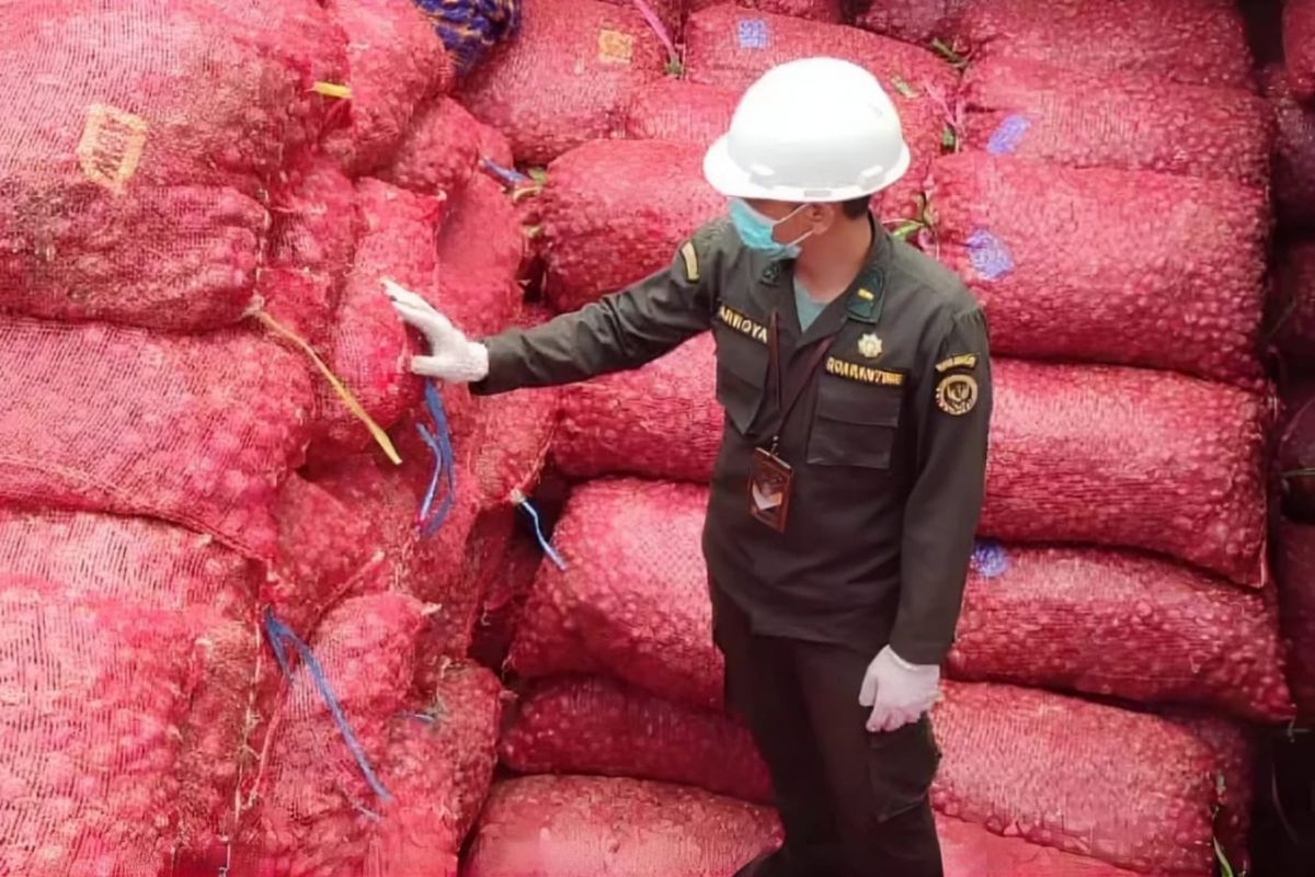 Quarantine Certification Strengthens Competitiveness of Bima Shallots