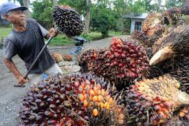 Strengthening Commodity Export Governance Will Bolster the Economy